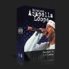 国外干声说唱/Rap Acapella Loop Pack 16 (111-120bpm)