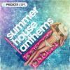 【Summer House风格采样音色素材】Producer Loops Summer House Anthems