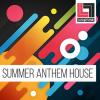 【Summer House风格采样音色】Looptone - Summer Anthem House WAV MIDI