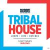 【Tribal House风格采样音色】Loopmasters present Robbie Rivera - Tribal House MULTiFORMAT