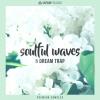 【Trap风格采样音色】CAPSUN ProAudio Soulful Waves and Dream Trap WAV