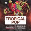 【Tropical风格采样音色】Singomakers Tropical Pop MULTiFORMAT
