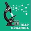 【Trap风格采样音色】IQ Samples Trap Organica WAV