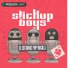 【Electronic风格人声素材】Producer Loops Stick Up Boys Electronic Pop Vocals Vol 2 MULTiFORMAT