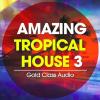 【Tropical House风格采样音色】Gold Class Audio Amazing Tropical House Vol 3 WAV MiDi-DISCOVER