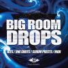 【Big Room风格采样+Serum预设音色】Polysonic Big Room Drops WAV MiDi XFER RECORDS SERUM-DISCOVER