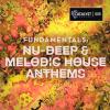 【TNu-Deep&Melodic House风格采样音色】Catalyst Samples Fundamentals Nu-Deep and Melodic House Anthems WAV MiDi