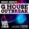 【G House风格采样+预设音色+工程模版】W. A. Production What About G House Outbreak WAV MiDi XFER RECORDS SERUM Ableton Template