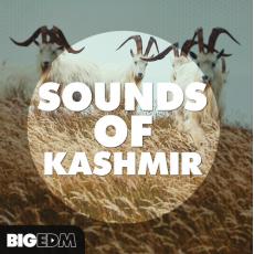 【EDM风格采样+预设音色】Big EDM Sounds Of Kashmir WAV MiDi Sylenth1 Spire Serum