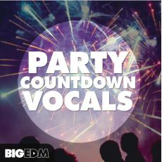 【各种语言倒数人声】Big EDM Party Countdown Vocals WAV