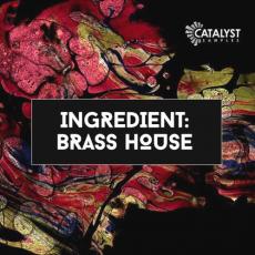 【House风格采样音色】Catalyst Samples Ingredient House Brass WAV MiDi