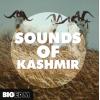 【EDM风格采样+预设音色】Big EDM Sounds Of Kashmir WAV MiDi Sylenth1 Spire Serum