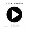 【Deep House风格采样音色】Digital Dimension Audio Deep House Elements Vol.3 WAV