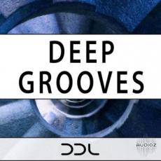 【Deep House风格采样音色】Deep Data Loops Deep Grooves WAV