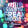【House风格旋律采样】Freak Samples Essential Freak Melody Vol.5 MIDI