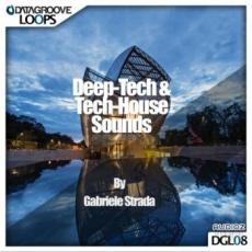 【Deep-Tech&Tech House风格采样音色】Datagroove Loops Deep-Tech and Tech House Sounds by Gabriele Strada WAV AiFF