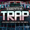 【Trap 风格采样音色】Loopmasters Essentials 38 Trap WAV
