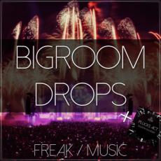 【Bigroom风格采样+预制音色】Freak Music Bigroom Drops WAV MiDi LENNAR DiGiTAL SYLENTH1-DISCOVER