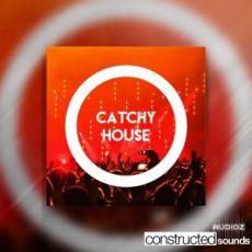【House风格采样音色】Constructed Sounds Catchy House WAV