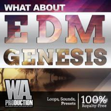 【EDM风格采样音色】W.A.Production EDM Genesis WAV MIDI FXP FLP-SYNTHiC4TE