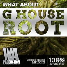 【G House风格采样+预制音色】W.A.Production G House Root WAV MIDI FXP FLP-SYNTHiC4TE