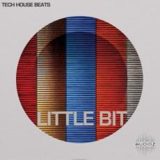 【Tech House风格鼓采样音色】Little Bit Tech House Beats WAV