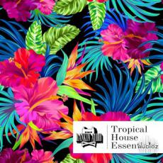 【Tropical House风格采样音色】Rankin Audio Tropical House Essentials WAV