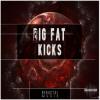 【底鼓采样音色】BFractal Music Big Fat Kicks WAV