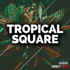 【Tropical风格采样音色】Smokey Loops Tropical Square WAV MiDi