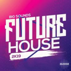 【Future House风格采样+预设音色】Big Sounds Future House 2K19 WAV MIDi Serum Presets