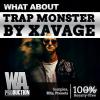 【Trap风格采样+预设音色】W. A. Production - What About Trap Monster By Xavage WAV Presets