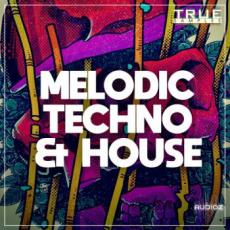 【Techno & House风格采样+预设音色】True Samples - Melodic Techno & House WAV MIDi Spire