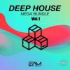 【Deep House风格采样+预设音色】Essential Audio Media - Deep House Mega Bundle Vol 1 WAV MIDi Presets