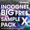 【Big Room风格采样音色】Incognet Big Samples X Pack WAV