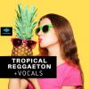 【Tropical&Reggaeton 风格人声/干声采样】Seven Sounds Tropical Reggaeton + Vocals WAV MiDi SYNTH PRESETS-DISCOVER