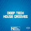 【Deep Tech House风格采样+预设音色】Next Sound Records Deep Tech House Grooves WAV MIDI SPIRE SERUM