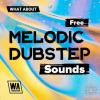【Dubstep风格采样音色】W.A. Production Free Melodic Dubstep Sounds WAV MIDI